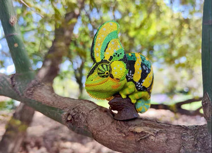 Veiled Chameleon (Green) | Chamaeleo Calyptratus