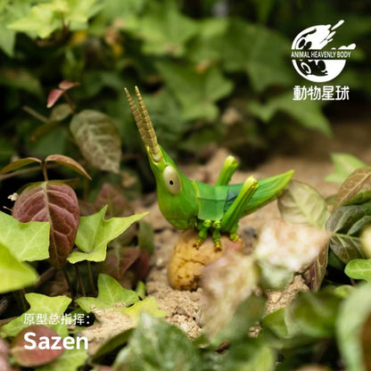Oriental Longheaded Grasshopper | Acrida Cinerea