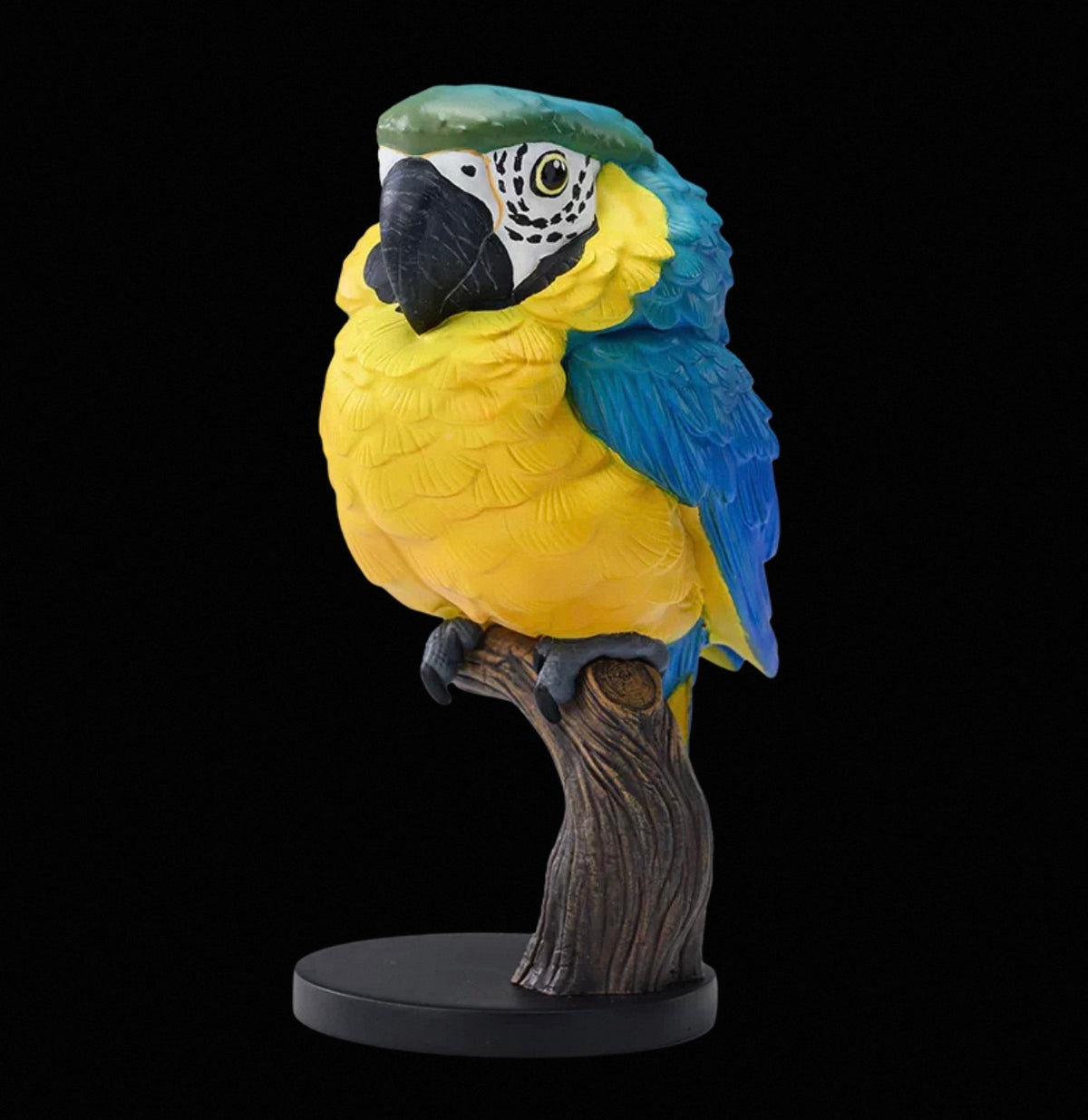 Blue-and-yellow Macaw | Ara Ararauna