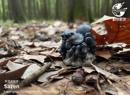 Wolf Spider | Lycosidae