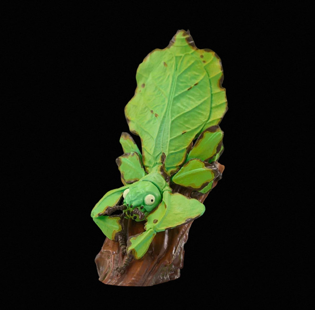 Giant Leaf Insect | Pulchriphyllium Giganteum