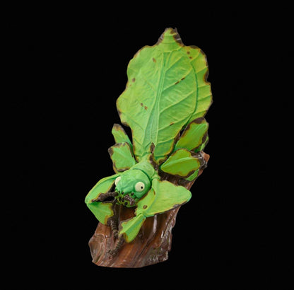 Giant Leaf Insect | Pulchriphyllium Giganteum