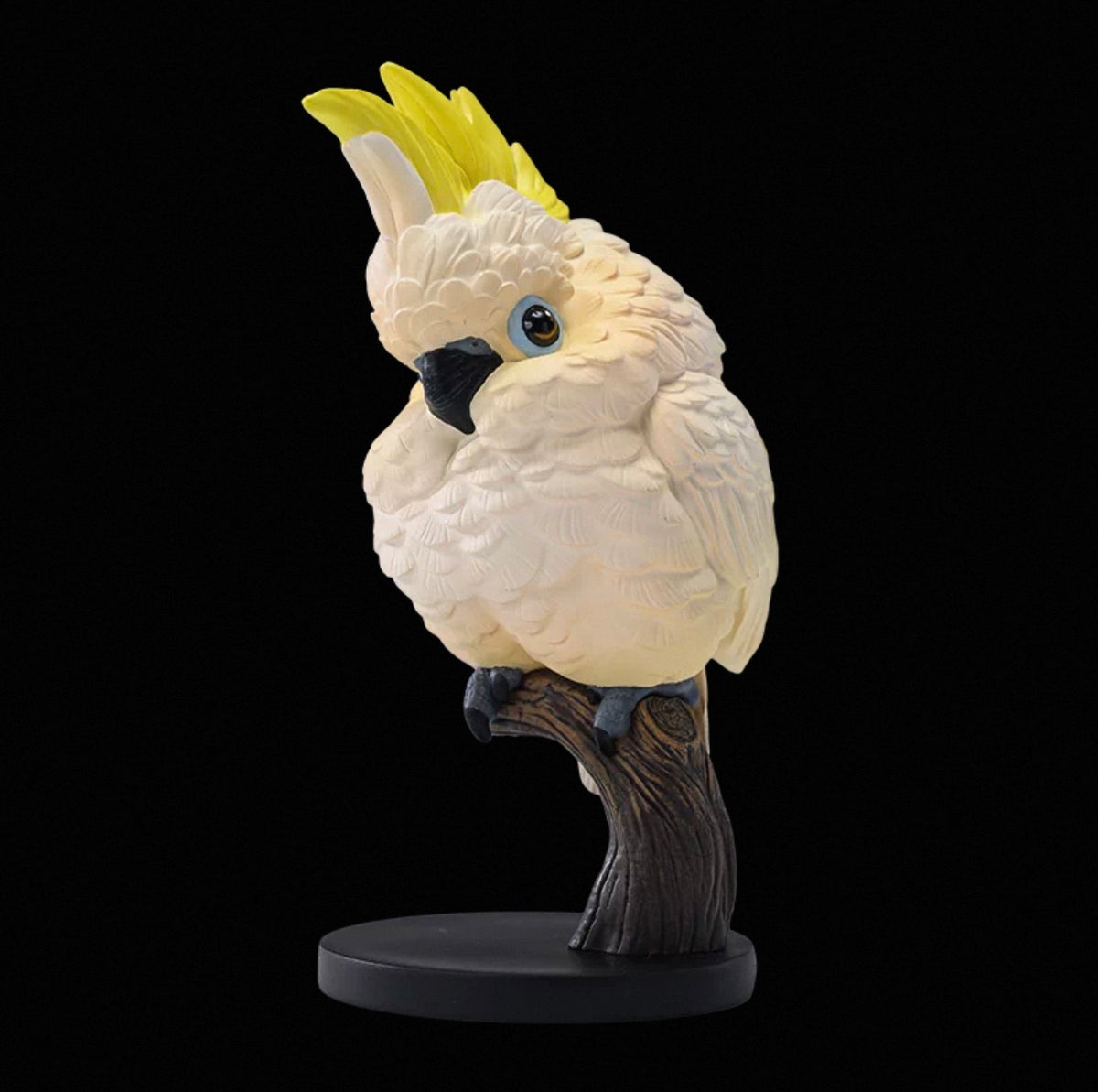 Sulphur-crested Cockatoo | Cacatua Galerita
