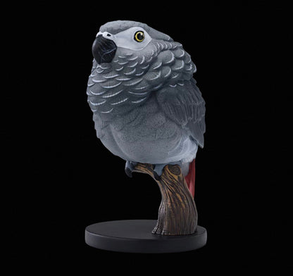African Grey Parrot | Psittacus Erithacus