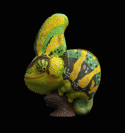 Veiled Chameleon (Green) | Chamaeleo Calyptratus