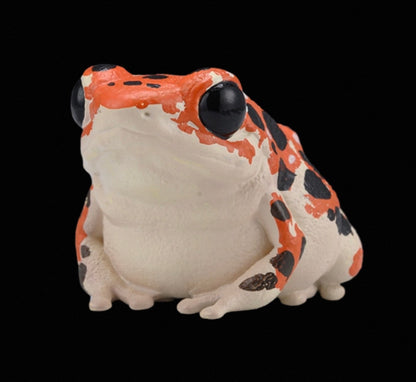 Strawberry Poison Dart Frog | Bastimentos