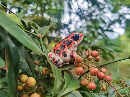 Strawberry Poison Dart Frog | Bastimentos