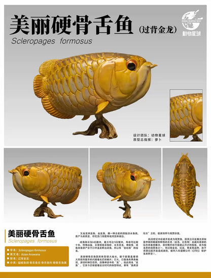 Asian Arowana | Scleropages Formosus