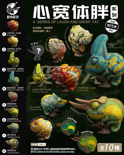 Meller's Chameleon | Trioceros Melleri
