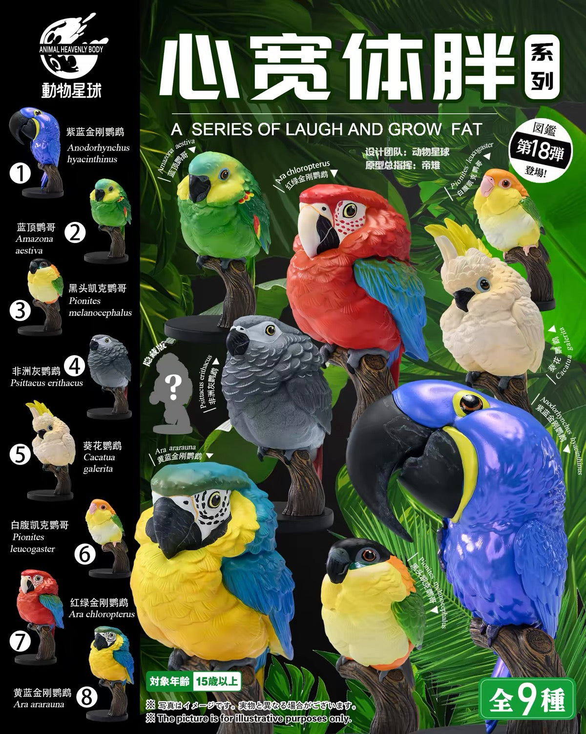 Blue-crowned Parakeet | Thectocercus Acuticaudatus