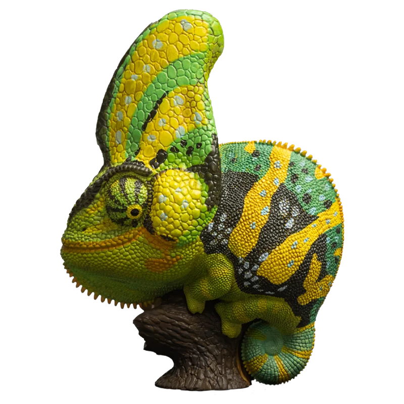 Veiled Chameleon (Green) | Chamaeleo Calyptratus
