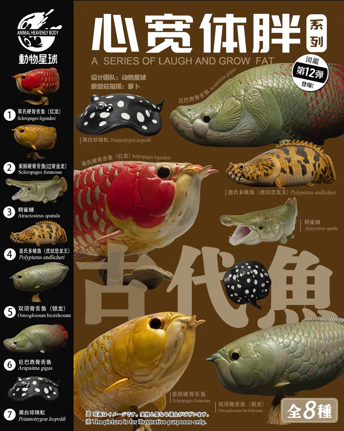 Asian Arowana | Scleropages Formosus