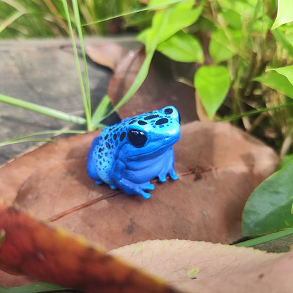 Cobalt Poison Dart Frog | Dendrobates Tinctorius