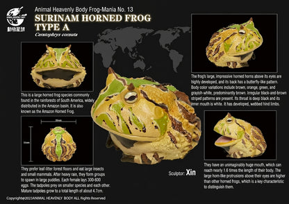 Ceratophrys Cornuta | Surinam horned frog