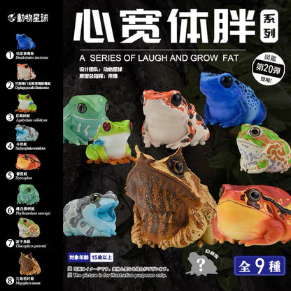 Tomato Frog | Dyscophus