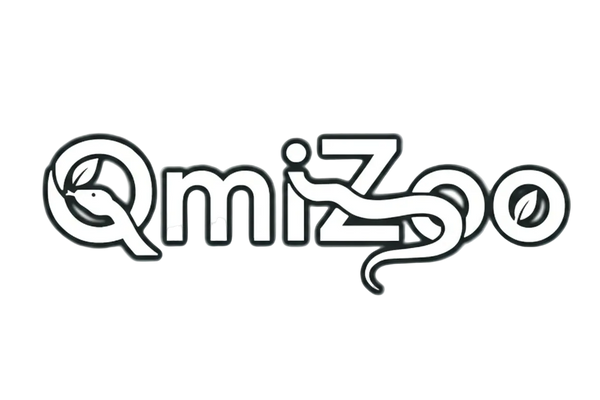 Logo of Qmizoo with a stylized snake design on a white background