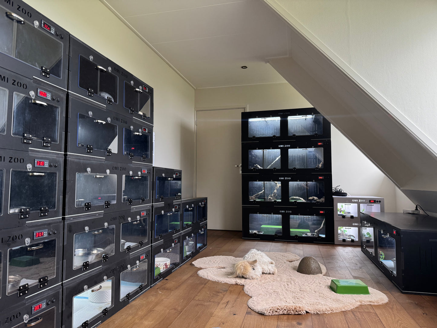 N-Series Smart Thermostatic Terrarium