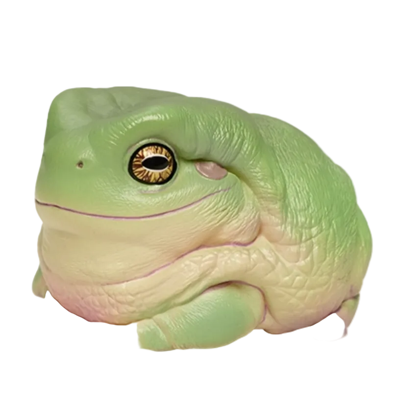Litoria caerulea | Green tree frog