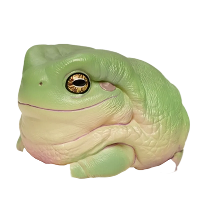 Litoria caerulea | Green tree frog