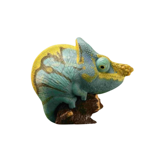 Parson’s Chameleon | Calumma Parsonii