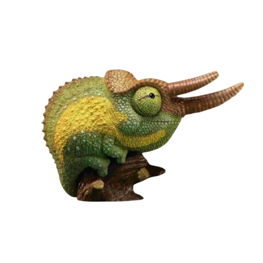 Jackson’s Chameleon | Trioceros Jacksonii