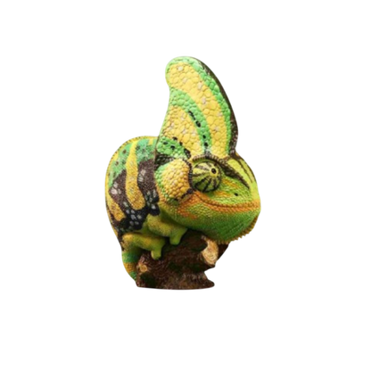 Veiled Chameleon (Green) | Chamaeleo Calyptratus