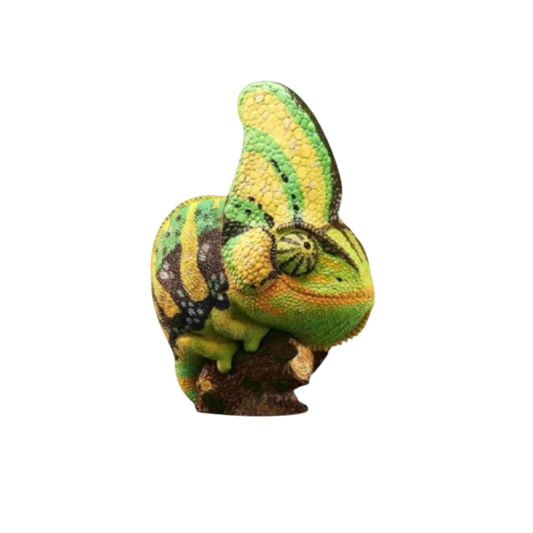 Veiled Chameleon (Green) | Chamaeleo Calyptratus