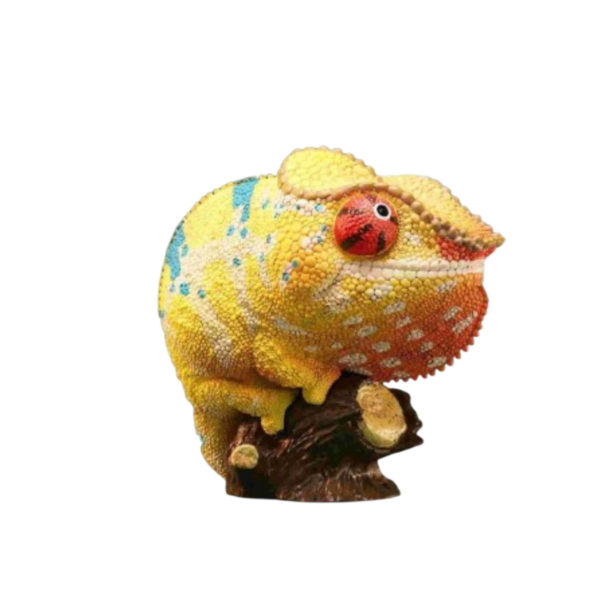 Panther Chameleon | Furcifer Pardalis