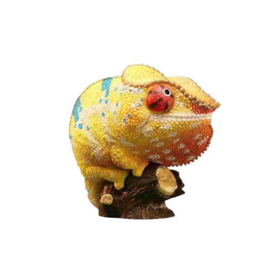 Panther Chameleon | Furcifer Pardalis