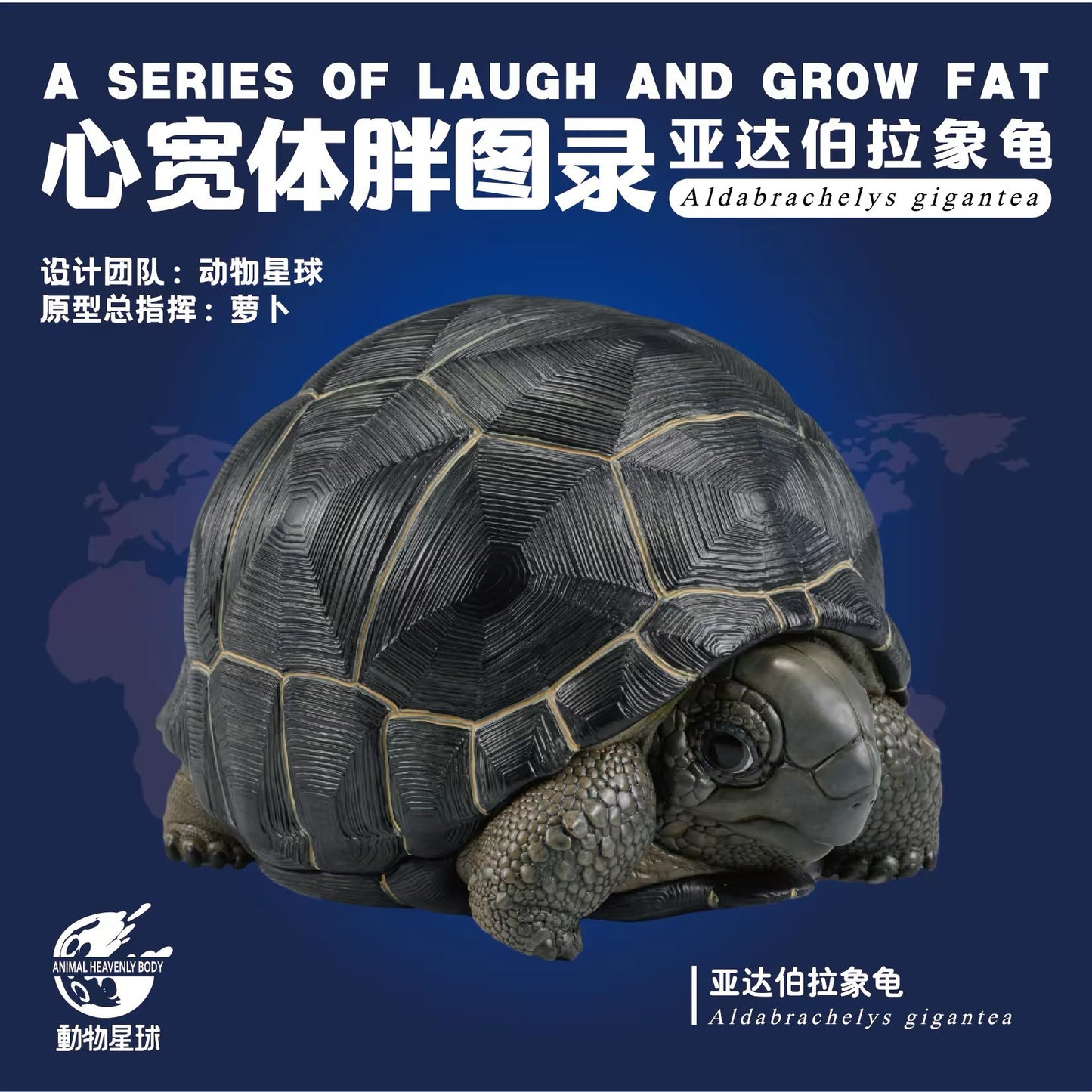Aldabra Giant Tortoise| Aldabrachelys Gigantea