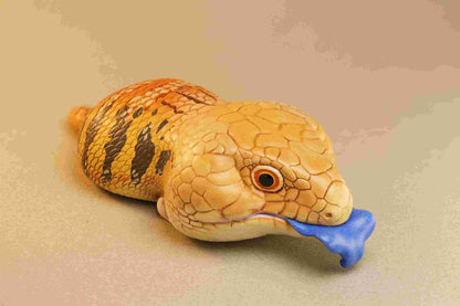 Blue-Tongued Skink | Tiliqua Scincoides