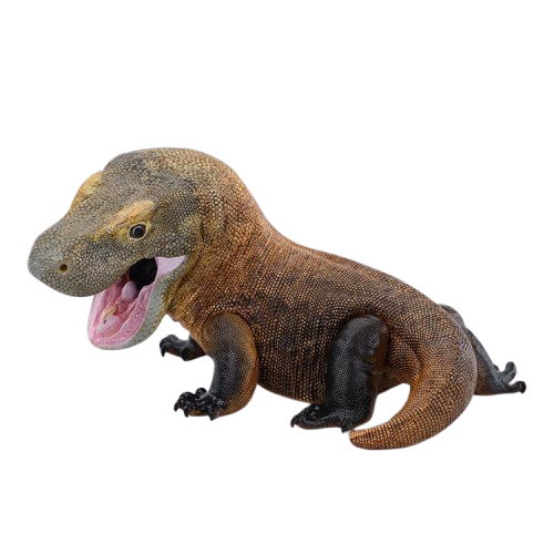 Komodo Dragon | Varanus Komodoensis