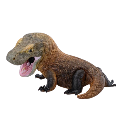 Komodo Dragon | Varanus Komodoensis