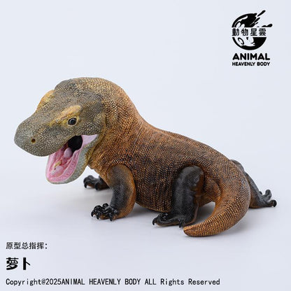 Komodo Dragon | Varanus Komodoensis