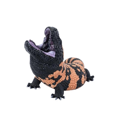 Gila Monster | Heloderma Suspectum