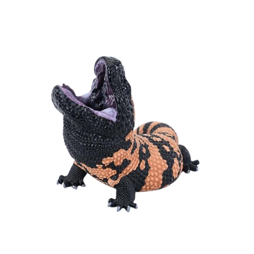 Gila Monster | Heloderma Suspectum