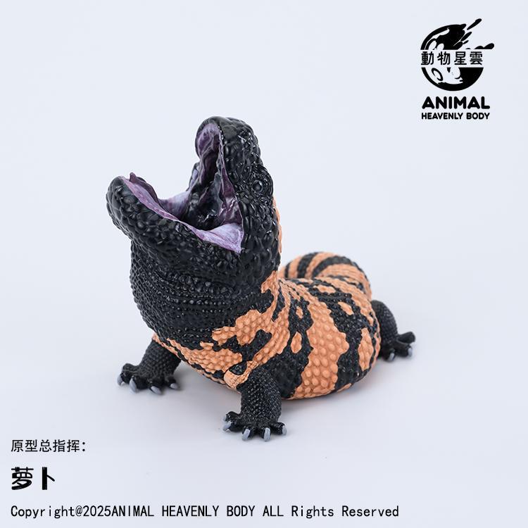 Gila Monster | Heloderma Suspectum