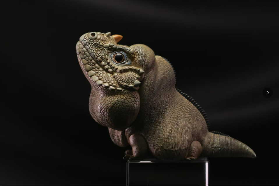 Rhinoceros Iguana | Cyclura Cornuta
