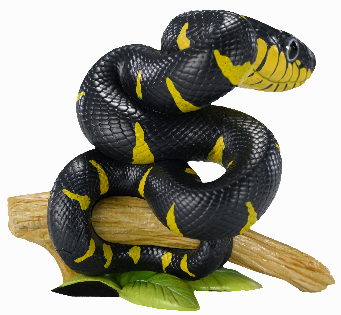 Gold-ringed Cat Snake | Boiga Dendrophila