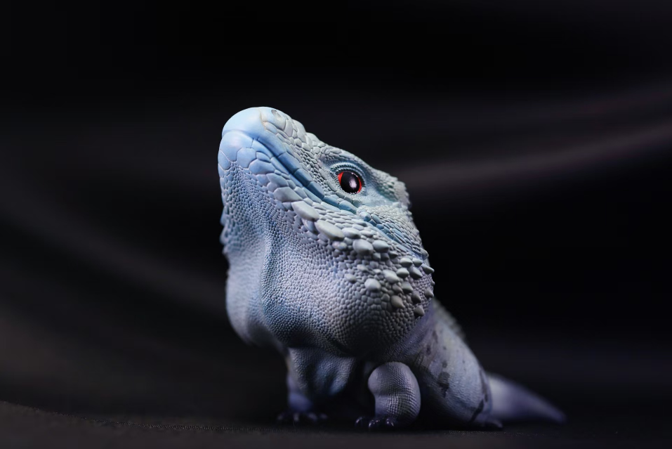 Blue Iguana | Cyclura Lewisi