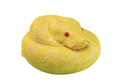 Albino Burmese Python
