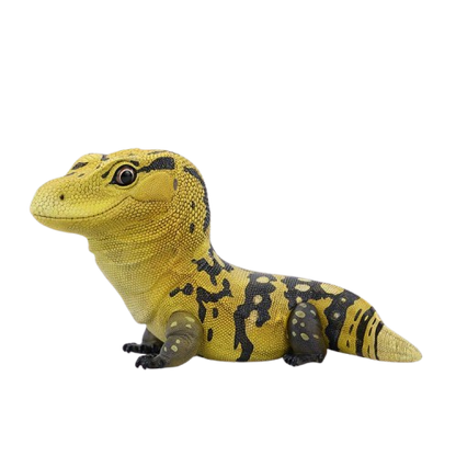 Yellow-headed Water Monitor | Varanus Cumingi