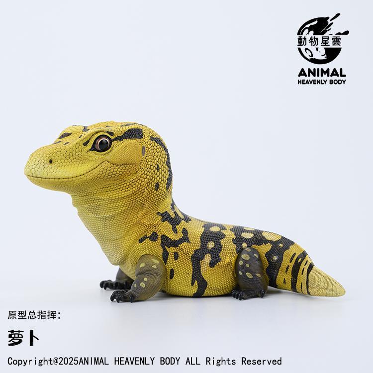 Yellow-headed Water Monitor | Varanus Cumingi