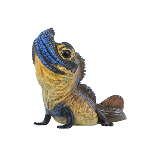 Philippine Sailfin Lizard | Hydrosaurus Pustulatus