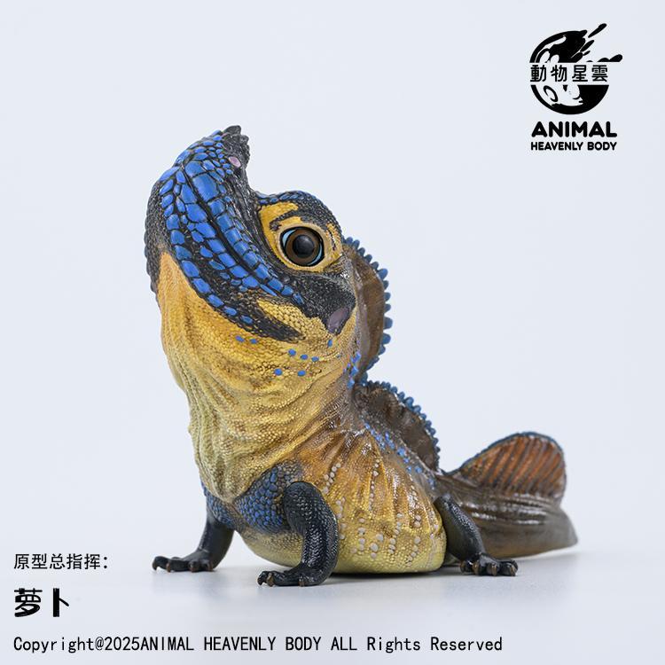 Philippine Sailfin Lizard | Hydrosaurus Pustulatus