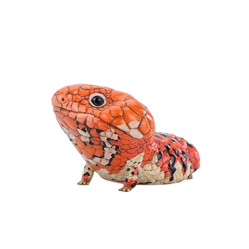 Shingleback Skink | Tiliqua Rugosa Rugosa