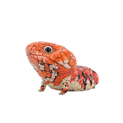 Shingleback Skink | Tiliqua Rugosa Rugosa