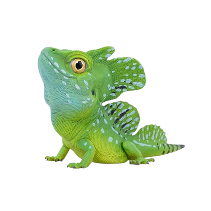 Plumed Basilisk | Basiliscus Plumifrons