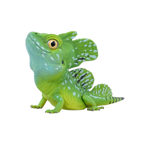 Plumed Basilisk | Basiliscus Plumifrons
