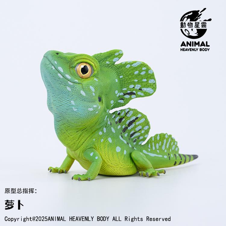 Plumed Basilisk | Basiliscus Plumifrons